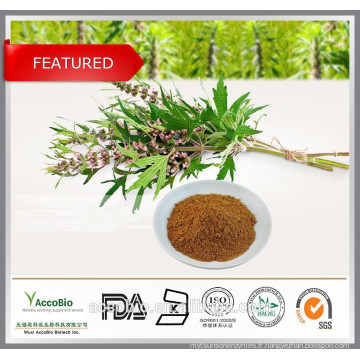 Extrait d&#39;herbe de Motherwort 100% naturel, Leonurus sibiricus L., Stachydrine 10%, CAS NO.471-87-4